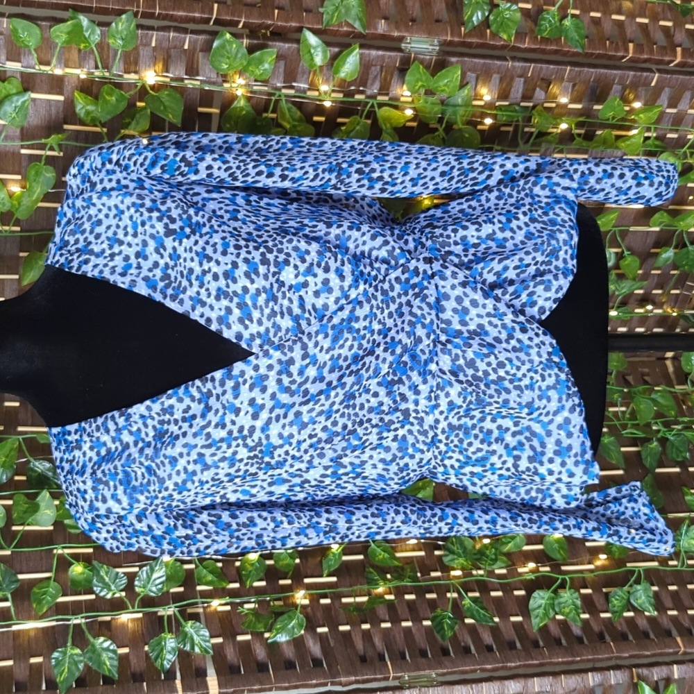 Express Blue Leopard Puff Sheer Sleeve Blouse